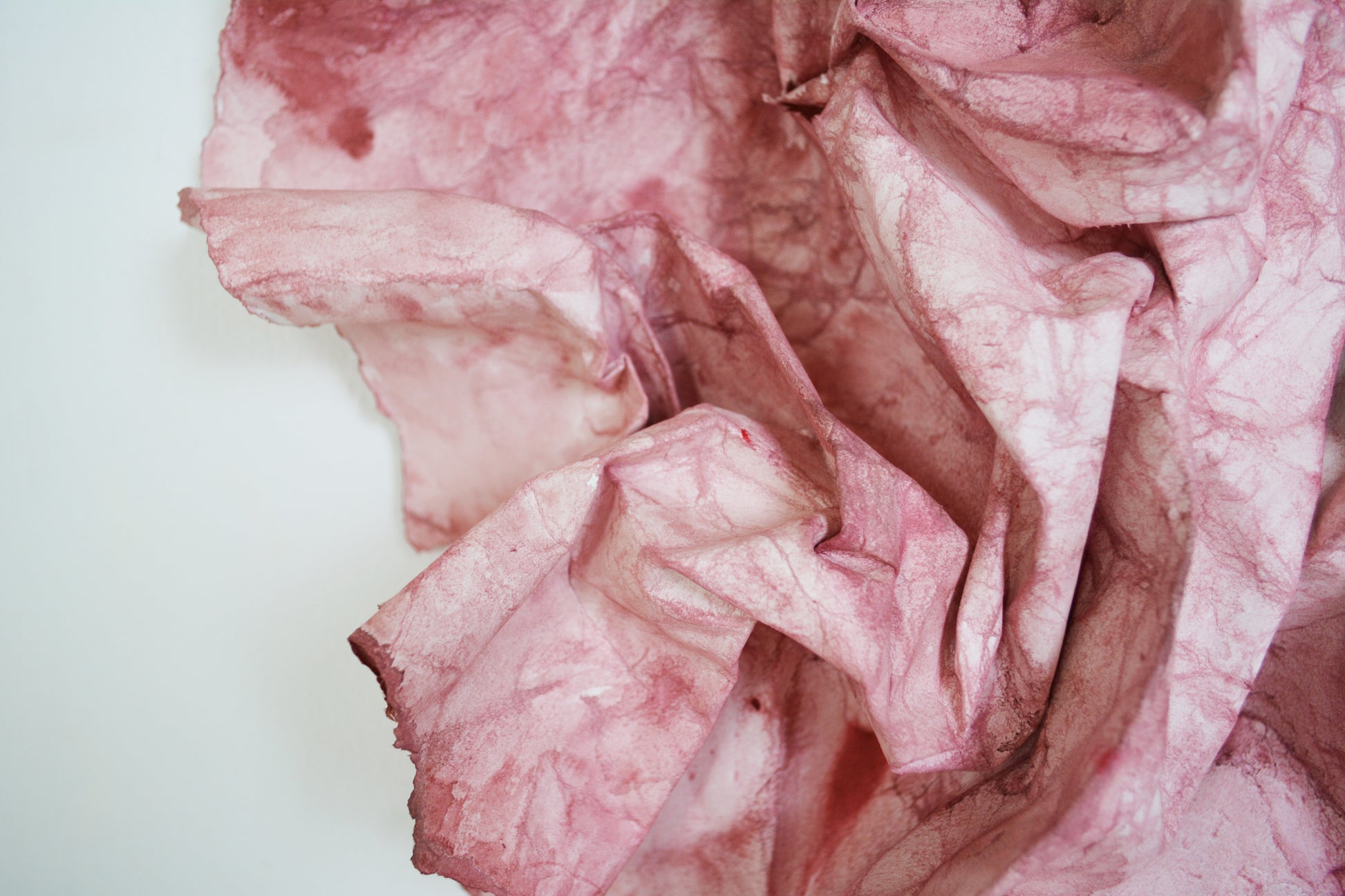 Fragile & strong, no. 03, bordeaux (SOLGT)