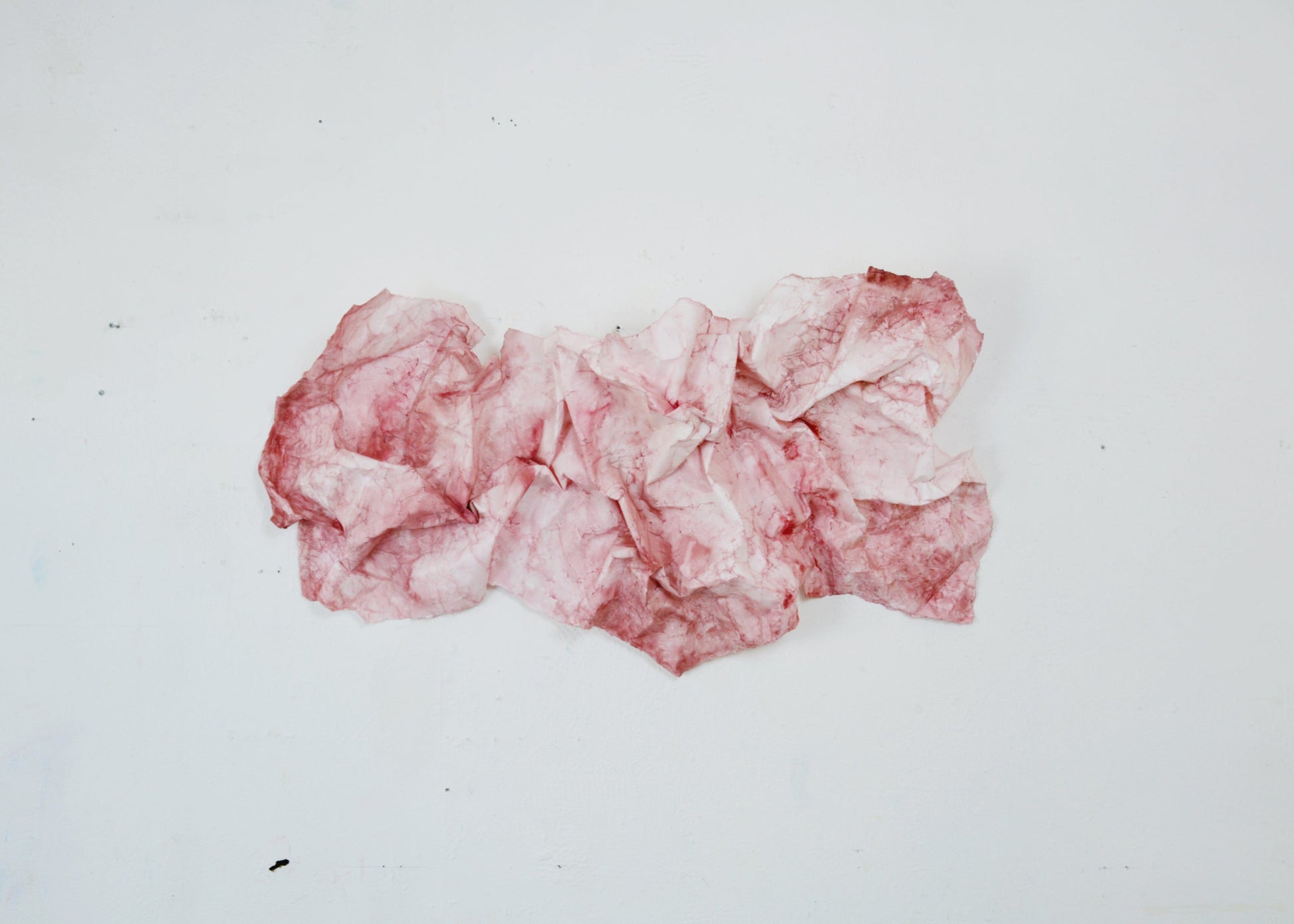 Transformed, bordeaux (SOLGT)