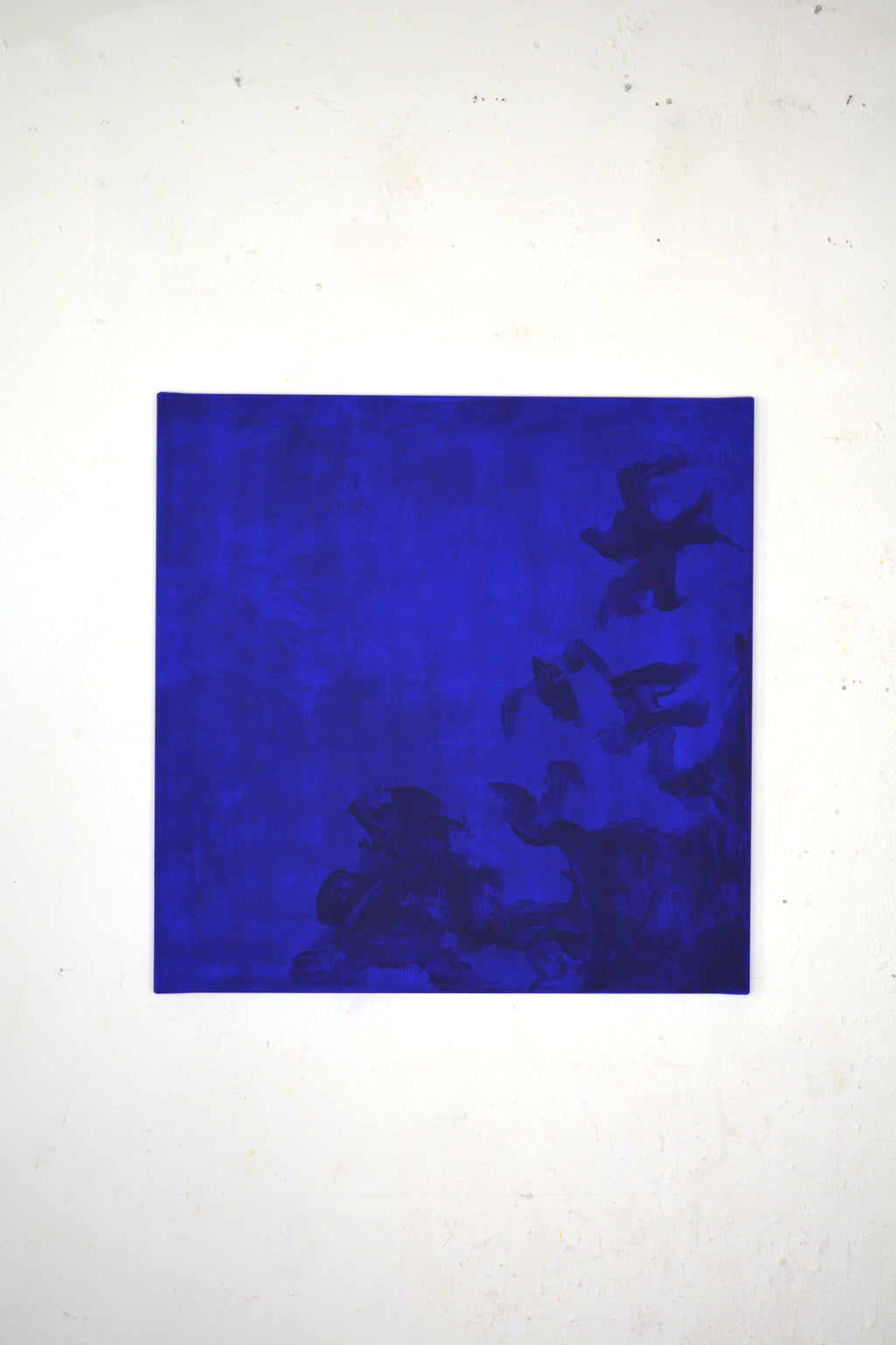 Take these broken wings and learn to fly, blue