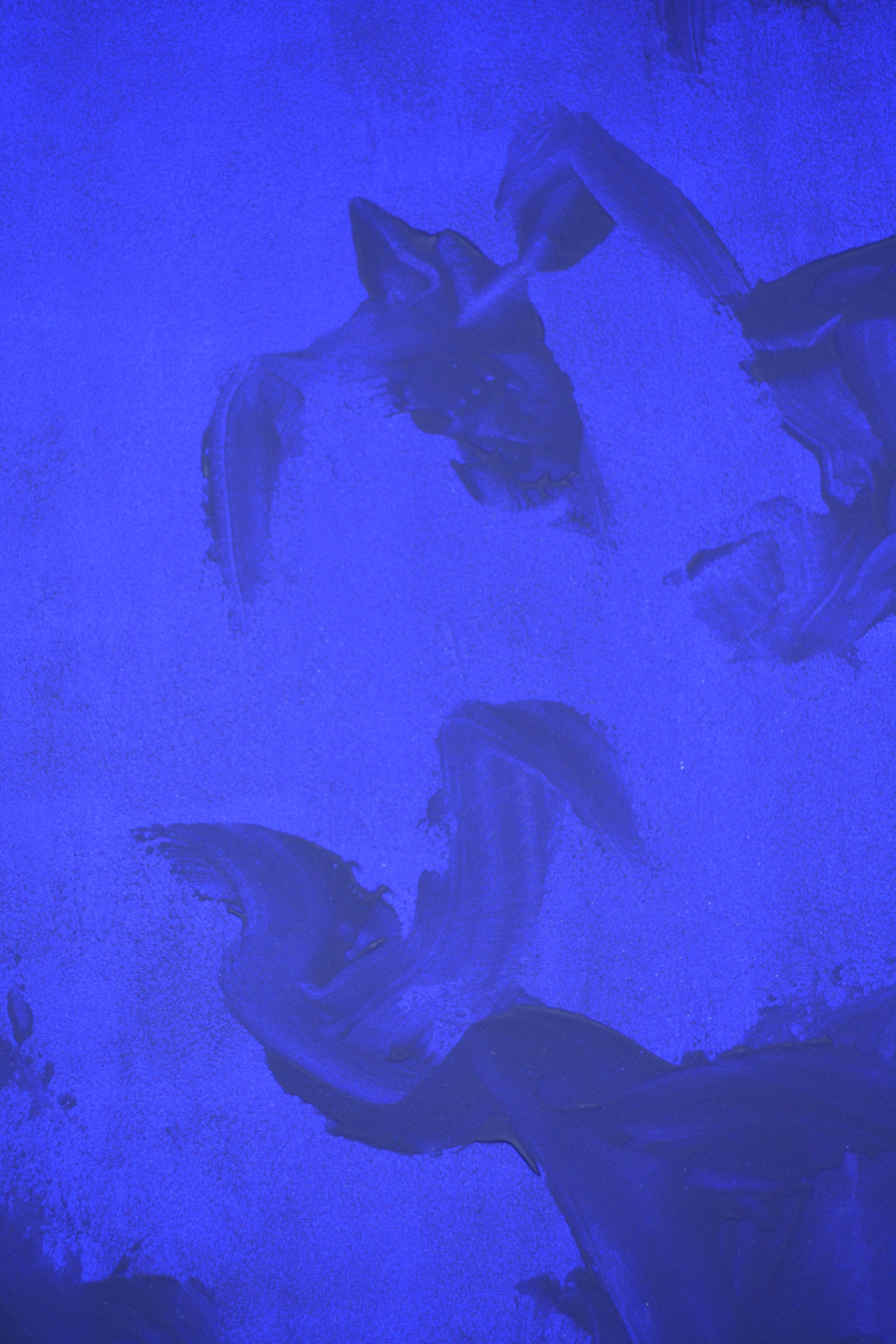 Take these broken wings and learn to fly, blue