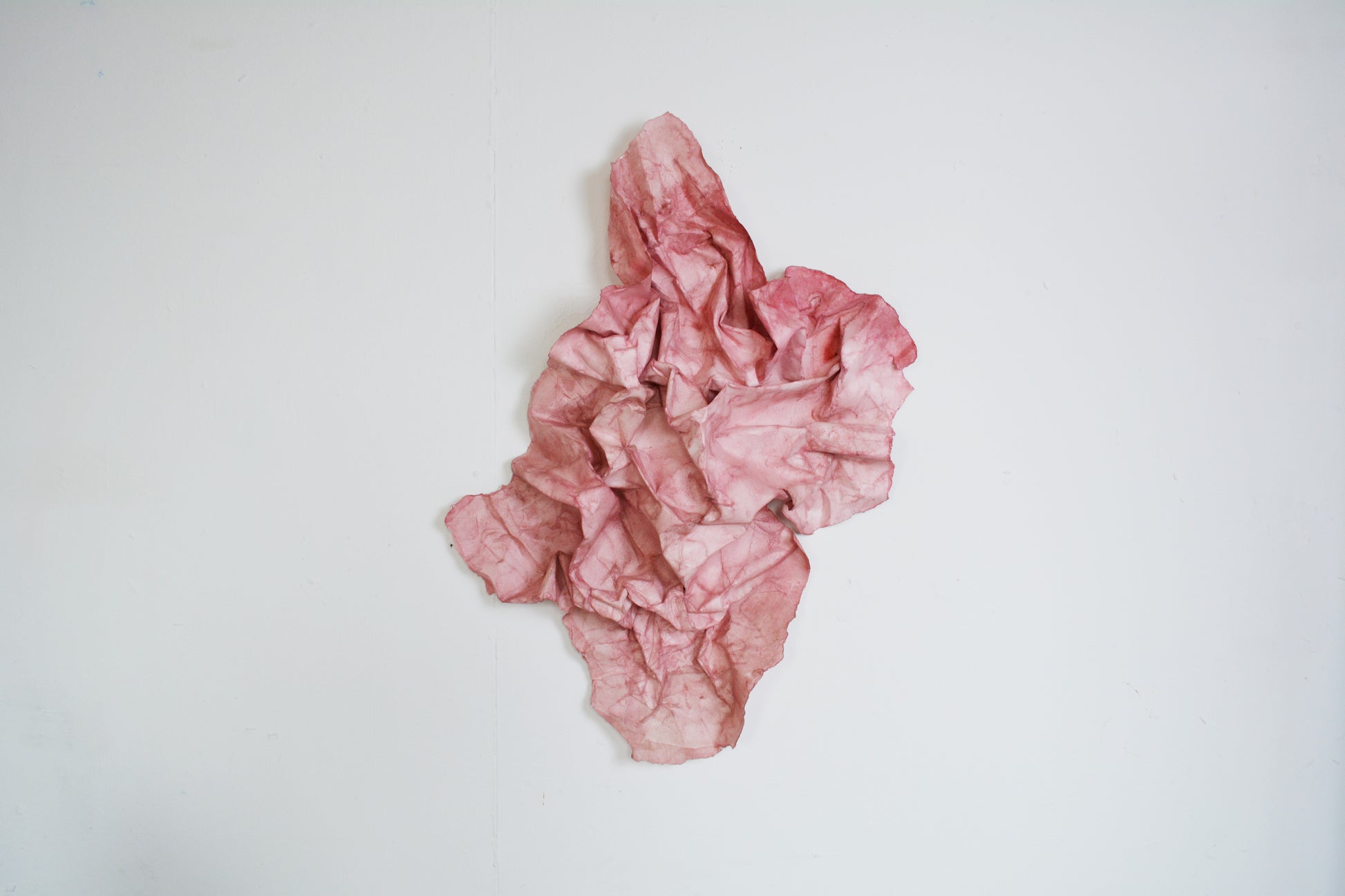 Fragile & strong, no. 01, bordeaux