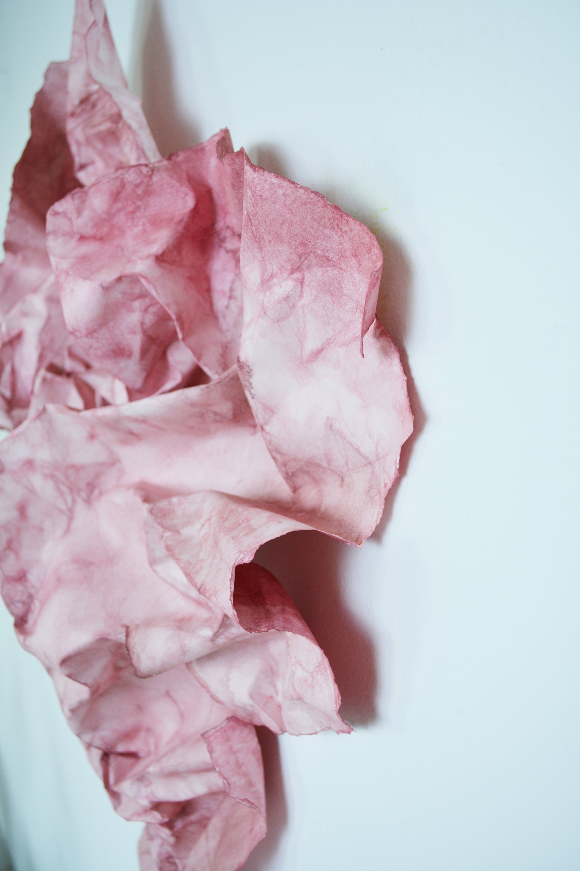 Fragile & strong, no. 01, bordeaux