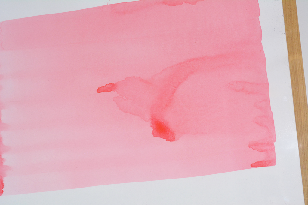 Untitled, coral 02