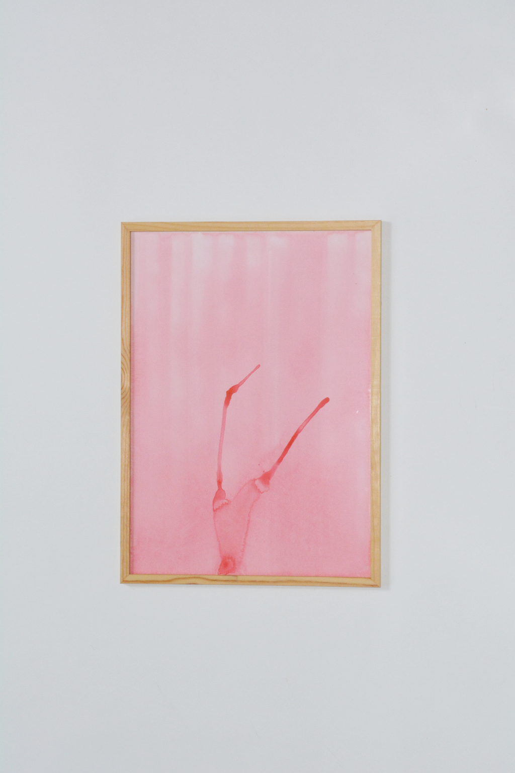 Untitled, coral 01