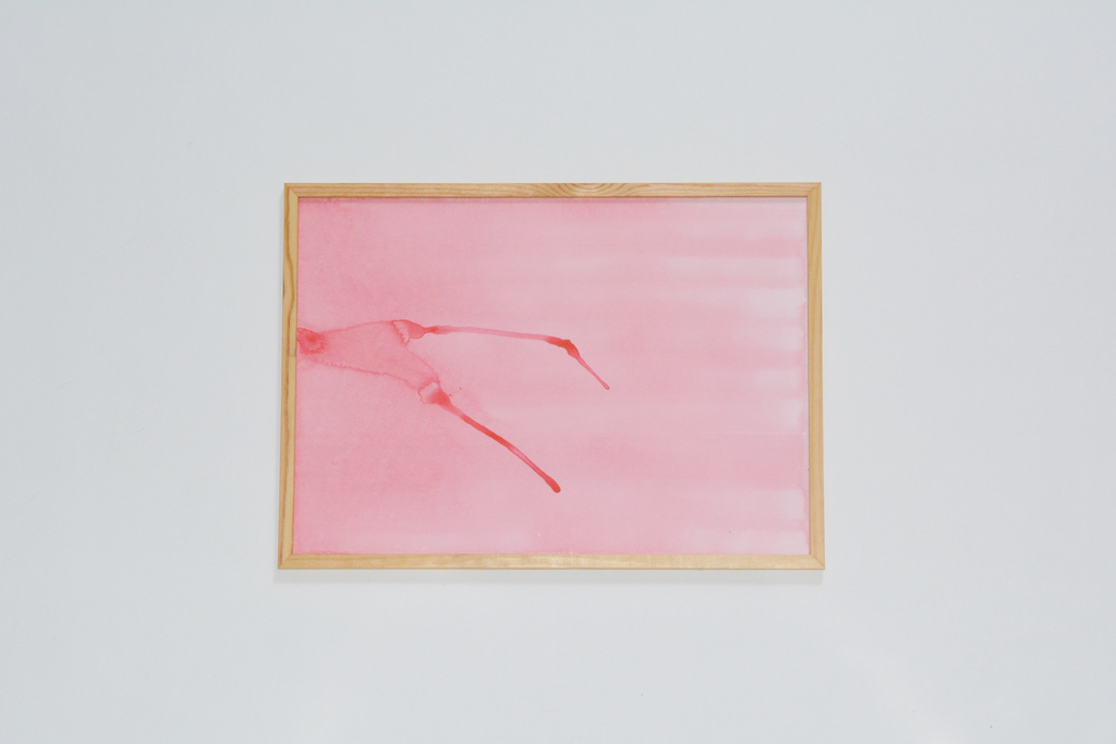 Untitled, coral 01